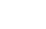 Small Tycoon logo